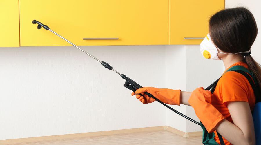 Why choose FixLux for pest control in Madison